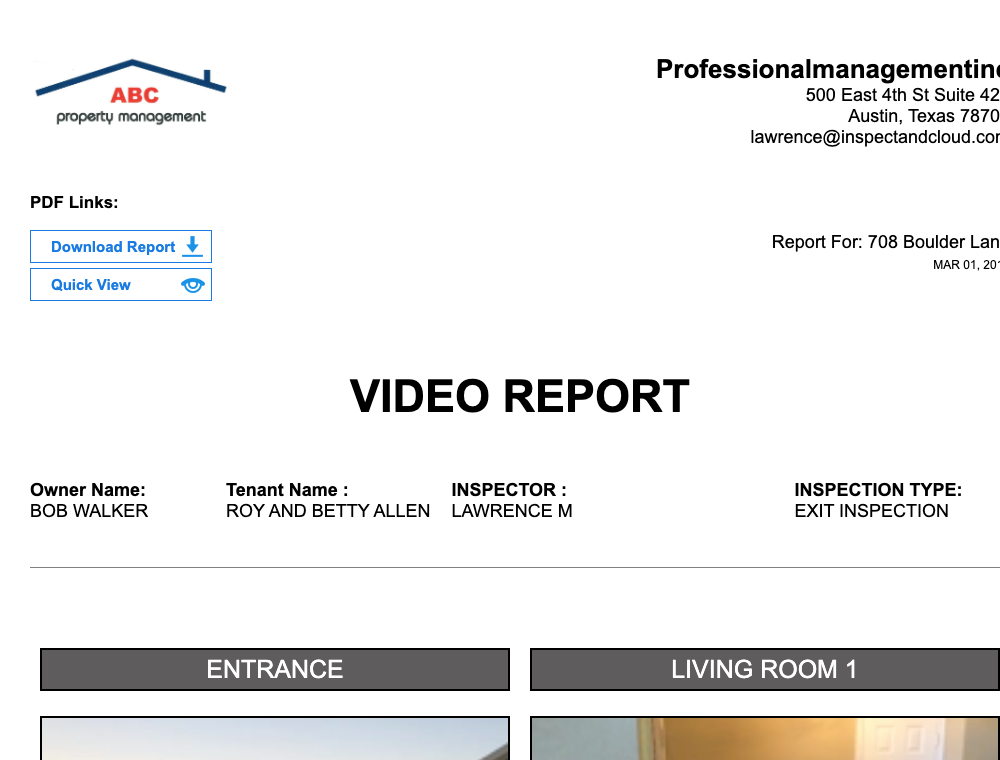 Video report preview